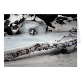 Arroyo Birchfall de Stinson