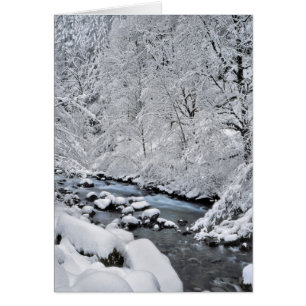 Arroyo blanco nevado escénico, Oregon