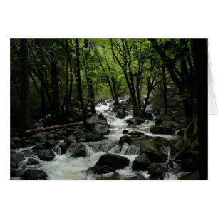 Arroyo Bridalveil en el Parque Nacional Yosemite