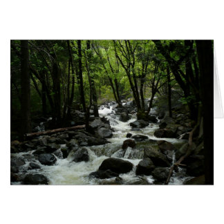 Arroyo Bridalveil en el Parque Nacional Yosemite