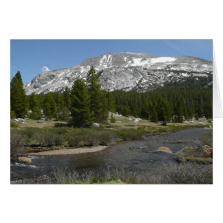 Arroyo de Montaña de High Country II en Yosemite
