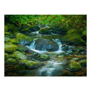 Arroyo del Bosque Irlandés – Impresión Fotográfica