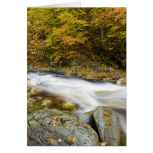 Arroyo Rugiente en otoño en el Green de Vermont