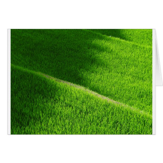 Arroz con terrazas campos de arroz de Yamada Japón (Anverso (Horizontal))