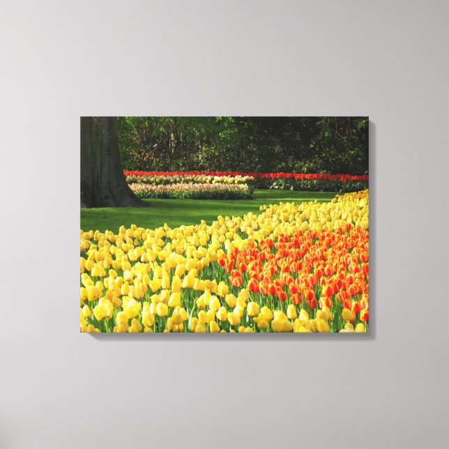 Art-Tulips de lienzo (Anverso)