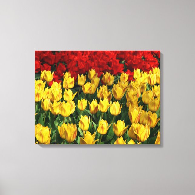 Art-Tulips de lienzo (Anverso)