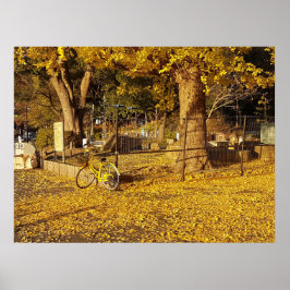 Arte a través de la lente