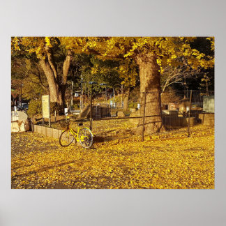 Arte a través de la lente