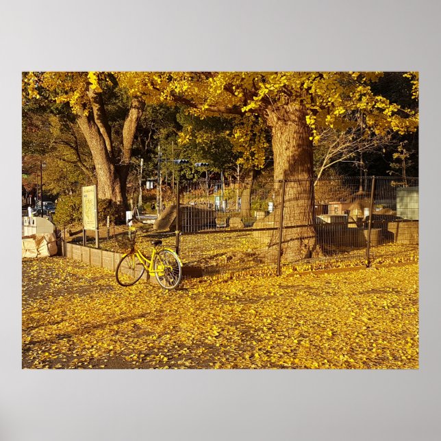 Arte a través de la lente (Frente)