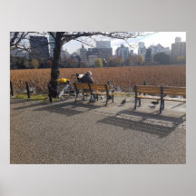 Arte a Través de la Lente