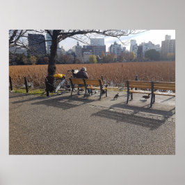 Arte a Través de la Lente