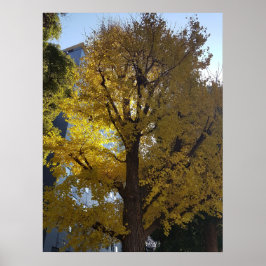 Arte a través de la lente