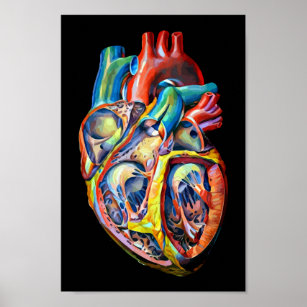 arte abstracto de la colorida anatomía cardíaca hu