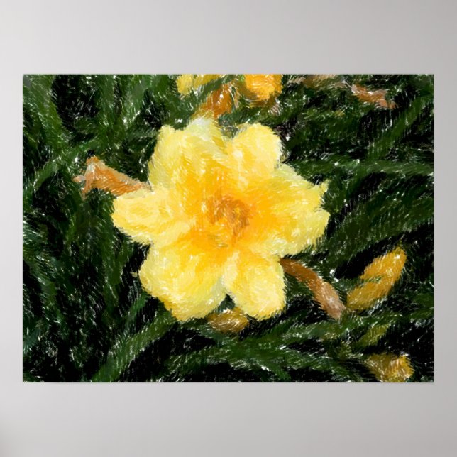 arte abstracto de la flor amarilla Narcissus Flowe (Frente)