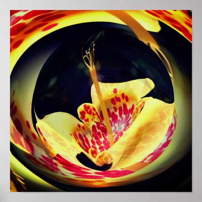 Arte abstracto de Lily Floral (Frente)