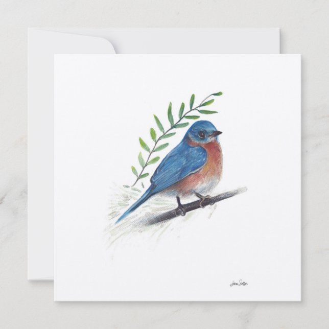 Arte acuático de Bluebird (Anverso)