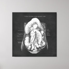 Arte anatómico de regalo Médica del sistema digest