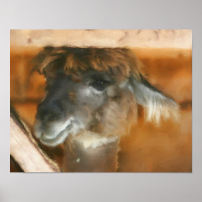 Arte animal de la granja de la cara de la llamada  (Frente)