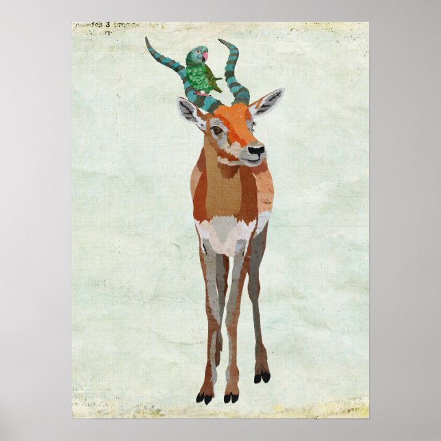 Arte Antelope y loro (Frente)
