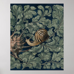Arte Antiguo Botánico Art Nouveau Caracol Antiguo