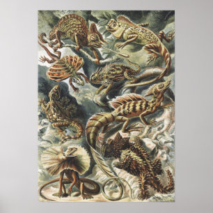 Arte Antiguo de Reptiles y Lagartos de la Naturale