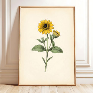 Arte Antiguo Estilo Botánico Vibrante de Sanvitali