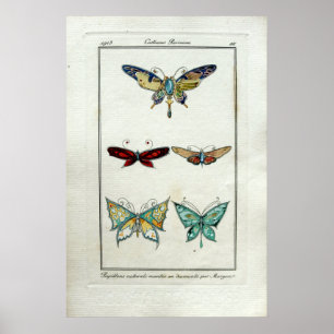 Arte Antiguo Joyería de Mariposa Nouveau por Morga