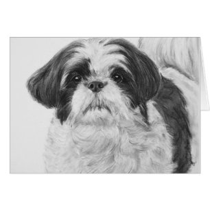 Arte blanco y negro de Shih Tzu