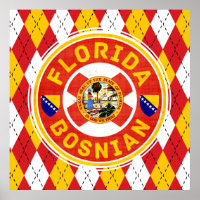 Arte bosnio-americano de Florida