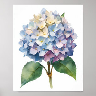 Arte Botánico Acuarela de Hortensia Azul para Pare
