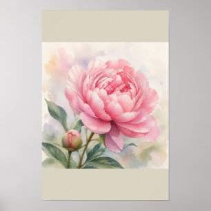 Arte Botánico Acuarela de Peonía Rosa en Pared