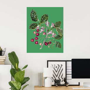 Arte Botánico Antiguo de Puriri por Sarah Featon
