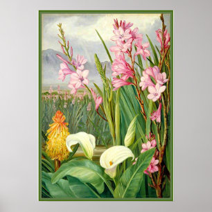 Arte botánico: Bellezas del pantano