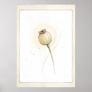 Arte Botánico de Cabeza de Semilla de Amapola Desp