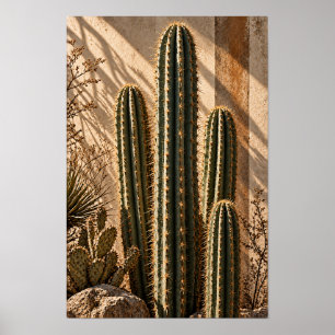 Arte Botánico de Cactus del Desierto Dorado en Par