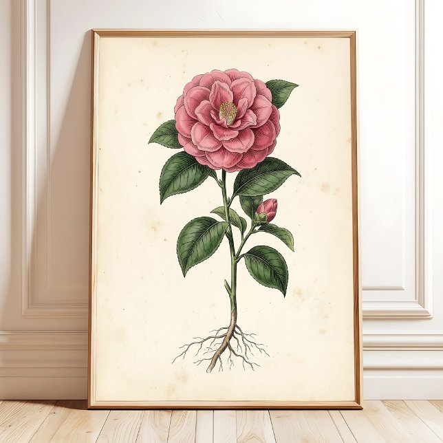 Arte Botánico de Camelia en Lienzo (Subido por el creador)