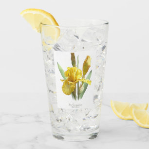 Arte botánico de flor de iris amarillo