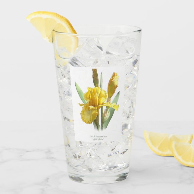 Arte botánico de flor de iris amarillo (Anverso (hielo))