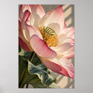 Arte Botánico de Flor de Loto Rosa en Primer Plano