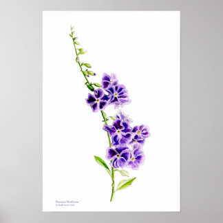 Arte botánico de flor de piel morada de Sarah Tret