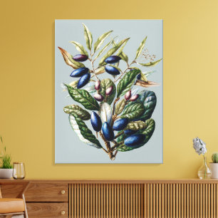 Arte Botánico de Frutas Azules Vintage de Sarah Fe