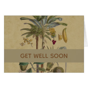 Arte botánico de frutas tropicales palmo antiguo