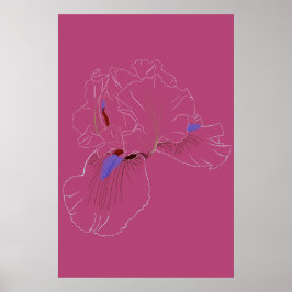 Arte Botánico de Iris en Línea