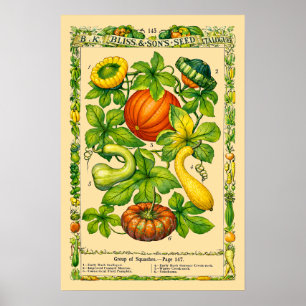 Arte Botánico de la Era Victoriana Retro de Calaba