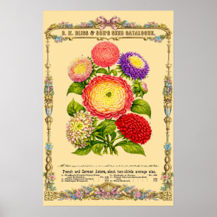 Arte botánico de la era victoriana retro de flores