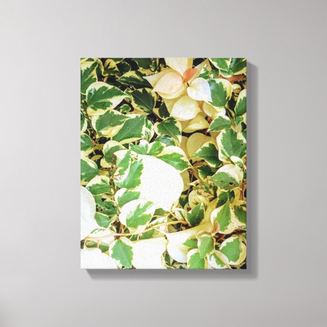 Arte botánico de la pared del jardín (Anverso)