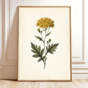 Arte Botánico de Ligularia para Pared Cottagecore