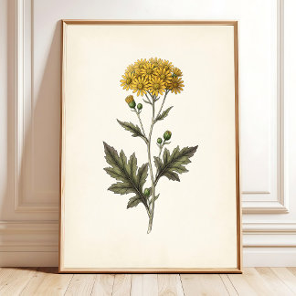 Arte Botánico de Ligularia para Pared Cottagecore