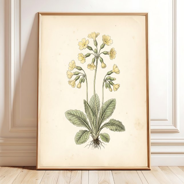 Arte Botánico de Primaveras para Pared con Estilo  (Subido por el creador)