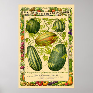Arte Botánico de Sandía de la Era Victoriana Retro